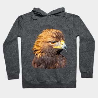 Ruffled Golden Eagle Hoodie